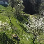 Apartment Apartmaji Beli Jelen Grobelno