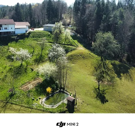 Apartmaji Beli Jelen Apartment *