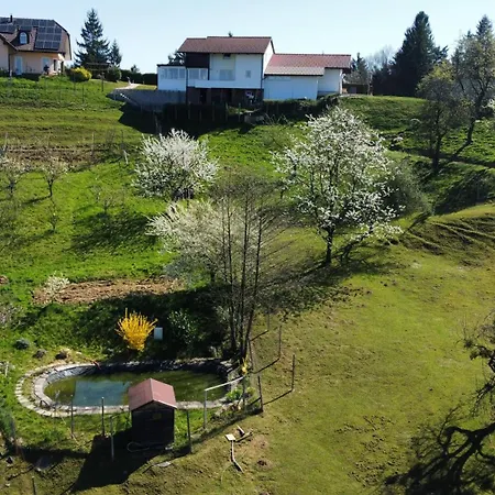 Apartmaji Beli Jelen Apartment