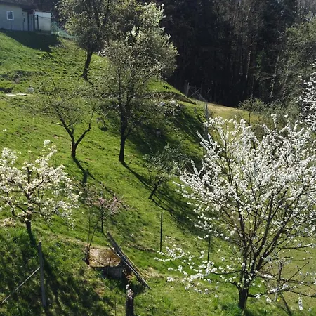 Apartma Apartmaji Beli Jelen Grobelno